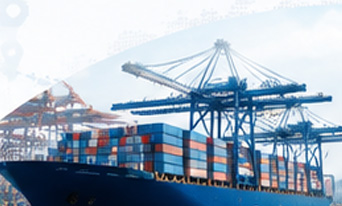 Importers/distributors